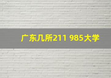 广东几所211 985大学